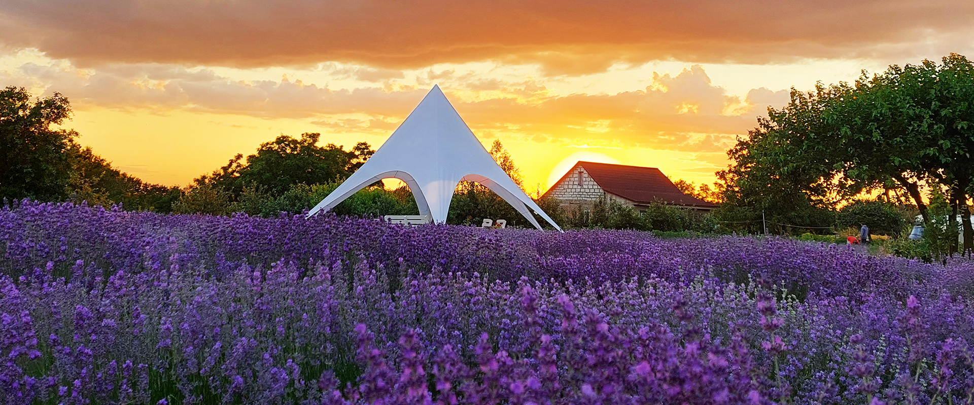 Зарядіться енергією на природі для нових звершень