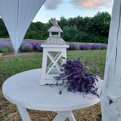 Новини та Статті