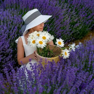 Новини та Статті