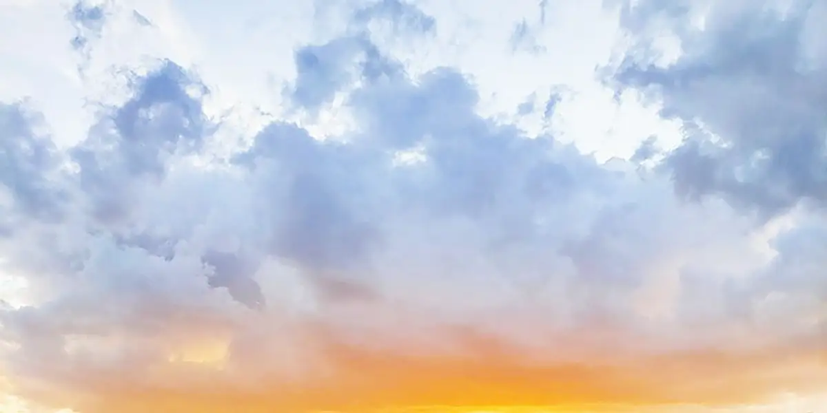 Відкрито онлайн замовлення товарів